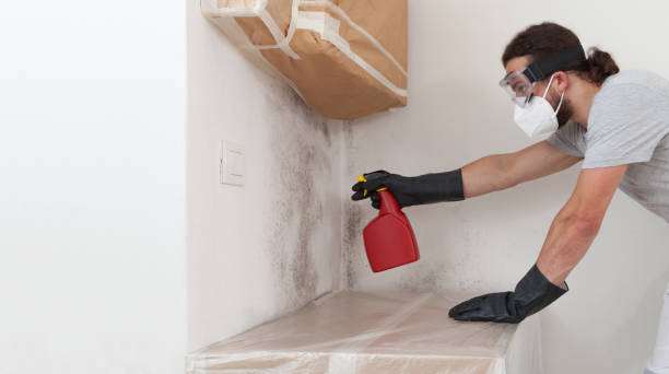 Professional Crawl Space Mold Removal technician working in Elk Rapids, MI